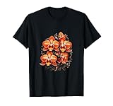 Phalaenopsis Orchid Art Houseplant Flowering
