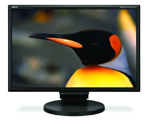 Image of NEC LCD205WNXM-BK 20-Inch Wide LCD with USB DVI Speaker (Black)