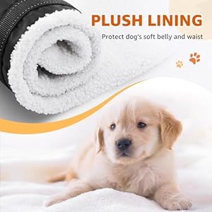 20-150-lbs-Dog-Lift-Harness-Dog-Sling-for-Large-Dogs-Hind-Leg-Support-Curved-Plush-Lining-Dog-Sling-Carrier-Adjustable-Dog-Support-Harness-Helps-Senior-Elderly-Injured-Pet-Black-Large - Cucciolini Doodles   20-150-lbs-Dog-Lift-Harness-Dog-Sling-for-Large-Dogs-Hind-Leg-Support-Curved-Plush-Lining-Dog-Sling-Carrier-Adjustable-Dog-Support-Harness-Helps-Senior-Elderly-Injured-Pet-Black-Large