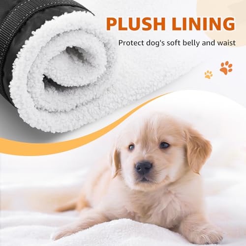 20-150-lbs-Dog-Lift-Harness-Dog-Sling-for-Large-Dogs-Hind-Leg-Support-Curved-Plush-Lining-Dog-Sling-Carrier-Adjustable-Dog-Support-Harness-Helps-Senior-Elderly-Injured-Pet-Black-Large - Cucciolini Doodles   20-150-lbs-Dog-Lift-Harness-Dog-Sling-for-Large-Dogs-Hind-Leg-Support-Curved-Plush-Lining-Dog-Sling-Carrier-Adjustable-Dog-Support-Harness-Helps-Senior-Elderly-Injured-Pet-Black-Large