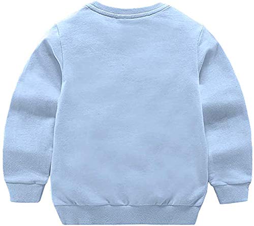Image of HAXICO Unisex Kids Solid Cotton Thin Pullover Sweatshirt T-Shirt Toddler Baby Crewneck Long Sleeve Tshirts Tops Blouse