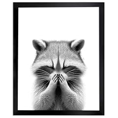Raccoon covering nose