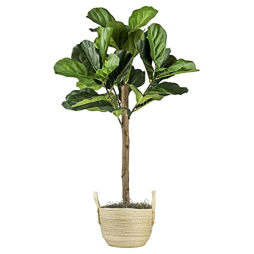 Artificial Fiddle Leaf Fig Tree 3Ft Faux Indoor Floor Tree In Woven Basket - Fake House Plant And Home Décor For Living Room, Office, Kitchen, Or Farmhouse - By Lcg Florals #TOP15