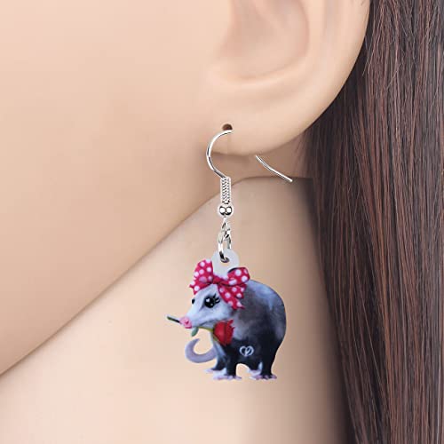 DUOWEI Acrylic Funny Possum Earrings Opossum Dangle Jewelry for Women Accessories Gifts Charms2