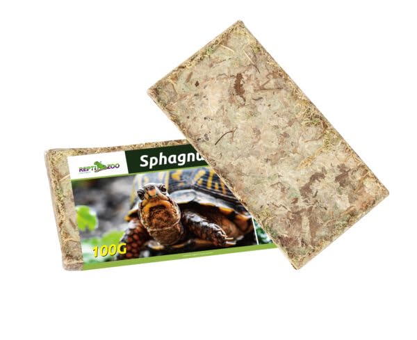 REPTI Zoo Chilean Sphagnum Moss – All-Natural Long-Fiber Terrarium Substrate High-Absorbency Moisture Retaining Moss for Reptiles, Amphibians, and Bioactive Habitats-image-7