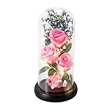 Beauty and The Beast Rose Lamp,Forever Preserved Roses Artificial Flowers,Unique Birthday Gifts for...