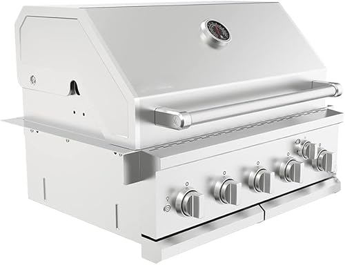 Premium 5 Burner Built In Gas Grill Island Head, Stainless Steel 30 Inch Propane Grill with Rear