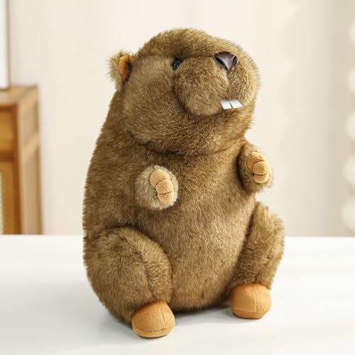 bg ʂ i   D A  킢 摜01 { qւ̃Mtg Aj} C 25cm n