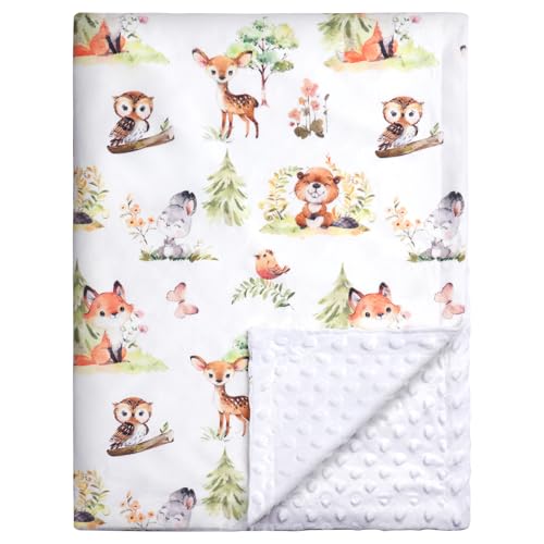HOTUT Couverture Bébés, 75x100 cm Couverture Multifonction pour Bébé, Baby Coton pour Naissance, Coton Biologique pour Sièges Poussettes Lits - Ecureuils