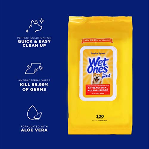 Wet Ones for Pets Multipurpose Dog Wipes with Aloe Vera, Tropical Splash Scent - Pet Bathing Wipes with Wet Lock Seal for Dog Paws and All-Over Use, 100 Count - 3 Pack — view 2