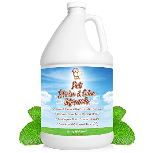 Top 5 Best Pet Odor Eliminator for Removing Dog's Urine Smell (2020)