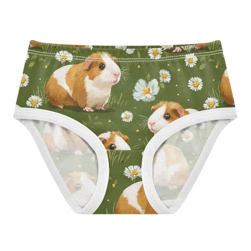 Wusikd Cute Brown Guinea Girls' Underwear Cotton Daisy Girls Briefs Soft Toddler Underwear 2T