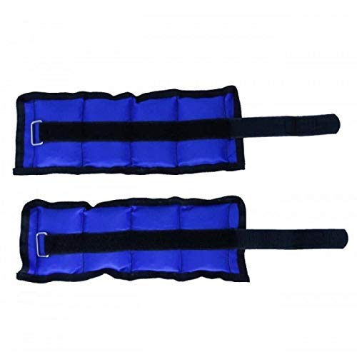 PS Pilot Wrist/Ankle Weights Home Gym Weight Bands 1kg (Each PC 0.5kg x 0.5kg) Pack of 1 Pair (B08MY1CHJT) Amazon Price History, Amazon Price Tracker