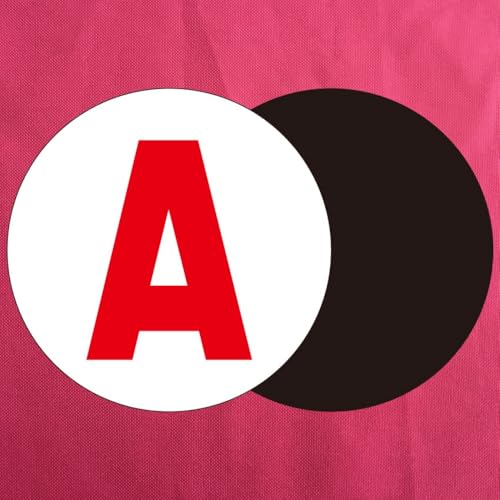 Norhogo 2 PCS Disque magnétique A, Diamètre 15 cm Disque voiture, A attacher au véhicule, Disque magnétique Jeune conducteur Auto