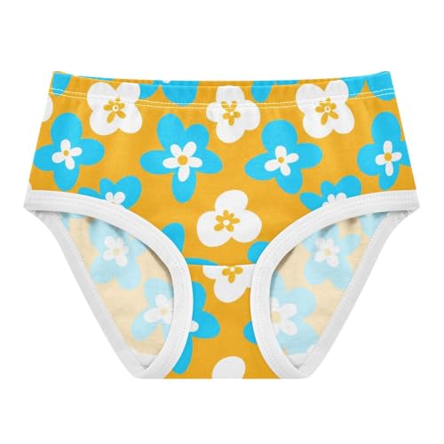 Funny Toddler Underwear Floral 2t Cotton Panties Little Girl White Blue Cartoon Flowers Yellow Briefs Kids Undies