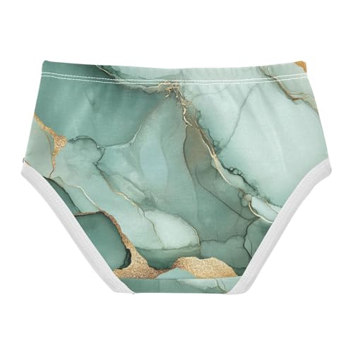 Cotton Briefs Panties Comfort Underwear for Baby Girls in Sizes 2T,3T, 4T, 5T, 6Y and 8Y2