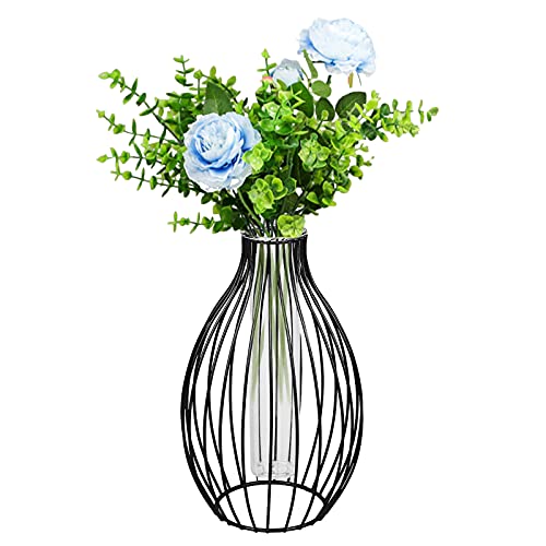 CMOISO Metal Frame Vase, Glass Test Tube Vase, Creative Lantern Shape Hydroponic Plant Glass Vase for Decorating Home and Office