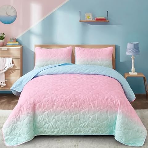 Xruibed Pink Ombre Quilt Set Cover