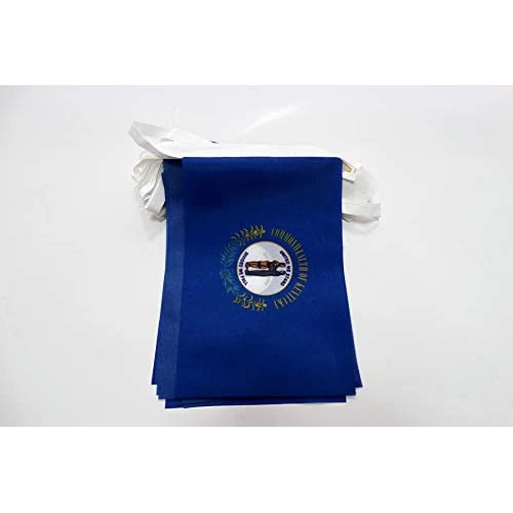 AZ FLAG Kentucky Bunting 20 ft 20 flags Light Polyester
