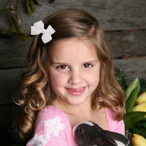 Image of Small Solid Bow for Girls - Set of 12 (Light Grey)