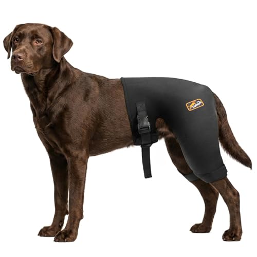 Dog Hip Brace with Removable Hot/Cold Pack, Patent Pending(Female Dog, L)