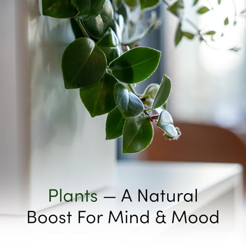 Tevatower Mini Smart Self-Watering Indoor Garden System - Image 7