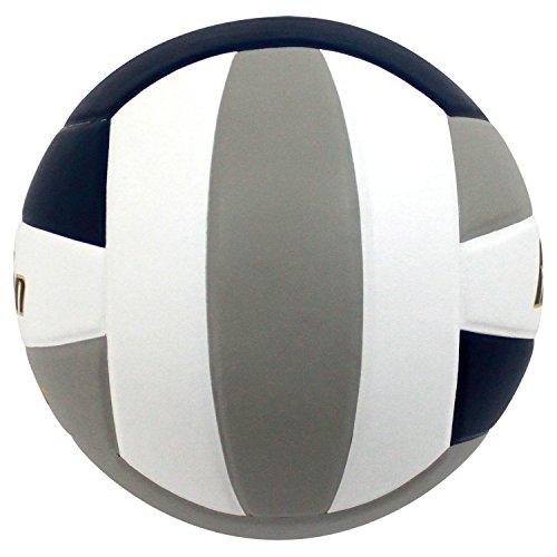 Image of Baden | Perfection | Premium Leather | Indoor Official Game Volleyball | 13U to College | Official Size + Weight | NFHS + AVCA Approved