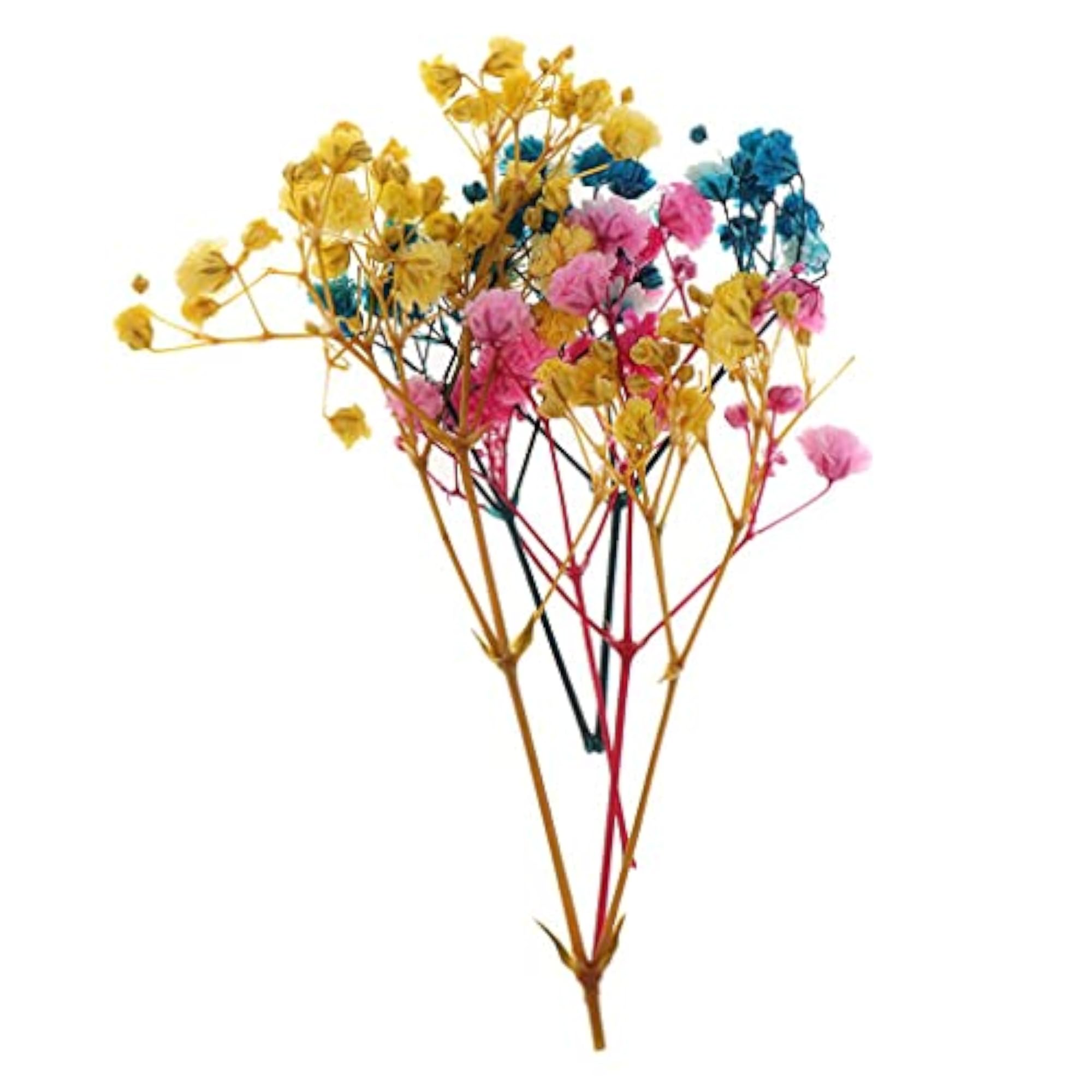 Pressed Leaves Natural Dried Flowers for Scrapbooking