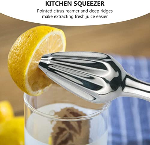 Handleiding citroen ruimer citrus ruimer citroen sinaasappel citruspers voor keuken restaurant - Image 5