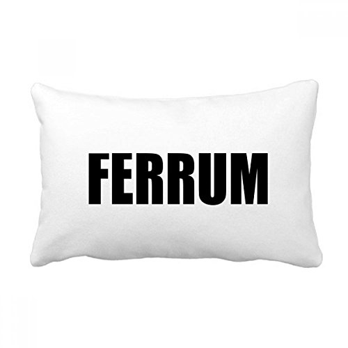 Oreiller lombaire chimie Ferrum housse et insert de coussin salon imprimé multicolore