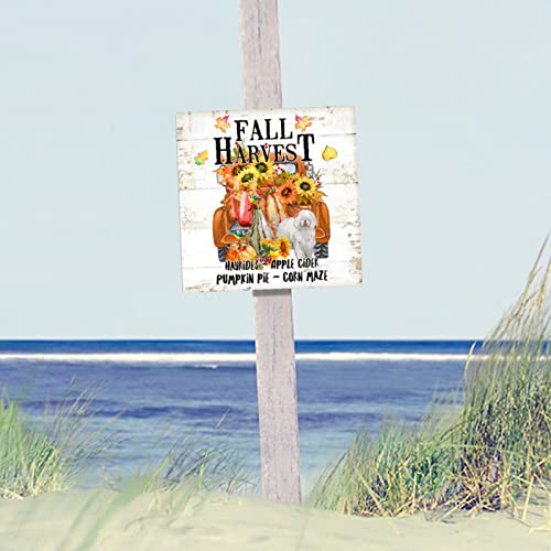 Plaque murale rustique en bois citrouille pour embellir un mur vide - 6