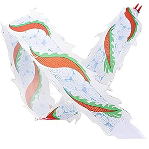 3D Dragon Poi Aldult Dragon Dance Fitness werpstreamer, 6m/8m/10m/12m lang Outdoor Park Lawn Yard Beach Sports Stromend…