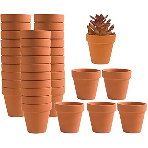Fcacti 36 PCS Small Mini Clay Pots with Drainage Holes for Plants,2.5inch Terra Cotta Pot Clay Ceramic Pottery Planter,Succulent Nursery Pot/Cactus Plant Pot,for Indoor/Outdoor Plants,Crafts Cover