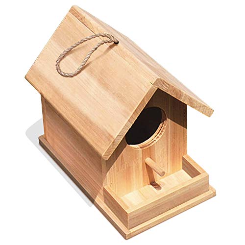 Floro Paintable Wooden Birdhouse For Garden, Indoor Decor, School Projects, Fun Diy Stay At Home Activity, Charming Perch And Back Door, Attracts Wrens, Warblers, Titmouse, Chickadees, Finches, 1-Pc #TOP8
