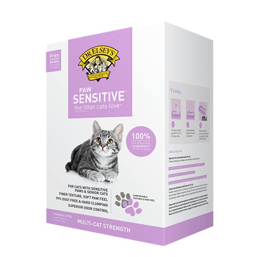 10 Best PawFriendly Litters for Your Feline Friend Dr Elsey's