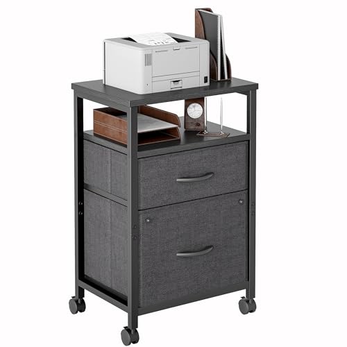TIQLAB 2 Drawer Mobile File Cabinet, Rolling Printer Stand with Open Storage Shelf, Fabric Vertical Filing Cabinet fits A4 or Letter Size for Home Office, Black