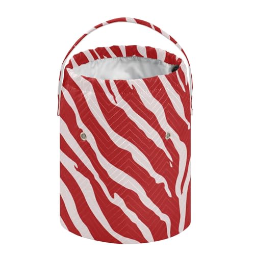 Image of Tatenale Crochet Bag Yarn Bag Knitting Project Bag with Pockets and Handle Portable Yarn Storage Organizer Tangle Free 8.3x11 InchRed Zebra Print44