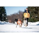 Coperani | Hundering | Hundespielzeug | Wurfspielzeug | 200 mm | Orange | Apportieren | Robust | Langlebig | Hochwertig