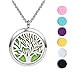 Meilanty Aceites de Aromaterapia Difusor del Collar Colgante Hueco con Los Cojines de Colores WZ-E