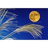 ND タペストリー 月 満月 秋 大きい 自然 風景 十五夜 中秋 月見 飾り インテリア 夜景 紅葉 背景 背景布 (デザイン2)