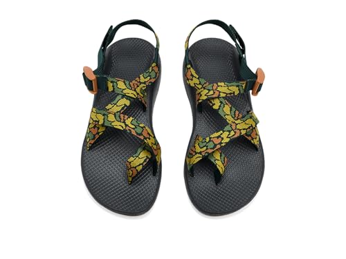 Image of Chaco Women's Zcloud 2 Sport Sandal