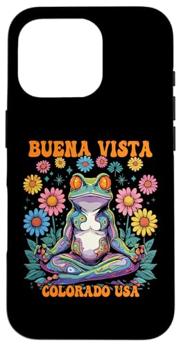 Buena Vista �R�����h USA ���ς��ȃJ�G�� �T�f�U�C�� �X�}�z�P�[�X iPhone 16 Pro �p