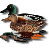 FUD Northern Shoveler Duck Decoys - Foldable,Collapsible - Perfect Duck Decoys for Land & Water - Hu