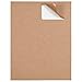 JAM PAPER Shipping Address Labels - Standard Mailing - 2 x 4 - Brown Kraft - 120/Pack