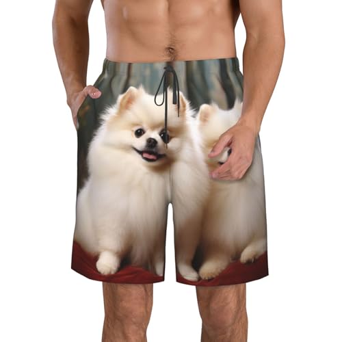 Mens Swim Trunks Quick Dry Board Shorts with Pocket Men Swim Shorts Short-haired Pomeranian Dog Beach Bathing Suits