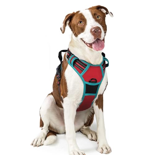 Image of rabbitgoo Dog Harness No Pull with 2 Leash Clips, Adjustable Soft Padded, Reflective Oxford No Choke Pet Vest with Easy Control Handle for Large Dogs, Red & Teal, L