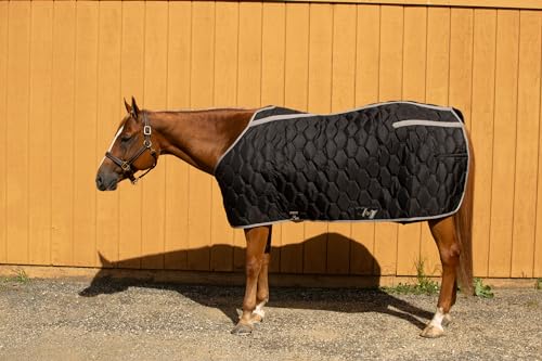 Image of Tuffrider Medium Weight Adjustable Neck Turnout Blanket 1200D 300gms Standard Neck with Comfy Closure-Black /Grey-72