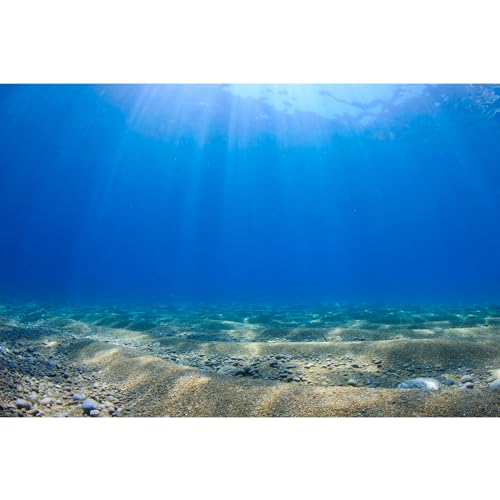 Underwater World Background Deep Water Blue Ocean Underwater Photography Backdrop Sunlight Blue Water Sun Ray Background Seabed Children Birthday Sea Theme Party Studio Decor 20x10ft