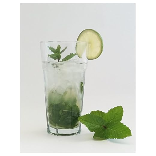 Vasos de mojito & cóctel (Juego de 6), cristal templado, Cuba Libre, Havana cócteles / marca de barman, profesionales / 400 ml