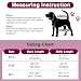 KEMUZ hundewindeln Clip hundewindel Pet Soft Hundewindel-Hosenträger,Hunde-Hosenträger, Hunde-Windelgeschirr, Hosenträger für Windeln, Damen, Welpen-Hosenträger, Bauchbänder, Haustier-Kleidung (F)